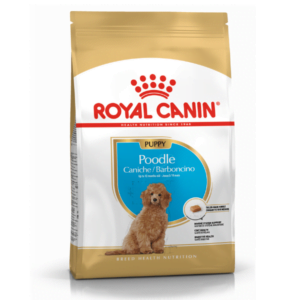Royal Canin Poodle Junior 1