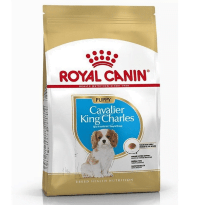 royal canin Cavalier King Charles Junior 1