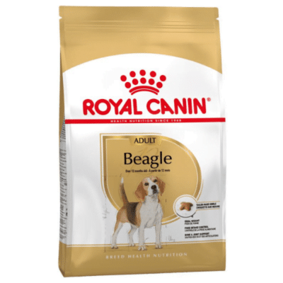 royal canin beagle 1