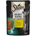 Sheba Kesica, Piletina