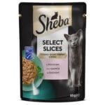 Sheba Kesica, Losos
