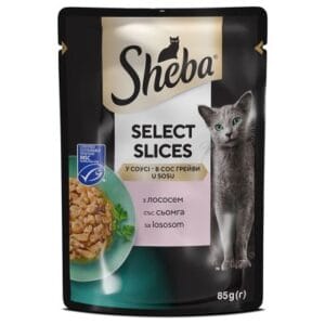 Sheba Kesica, Losos
