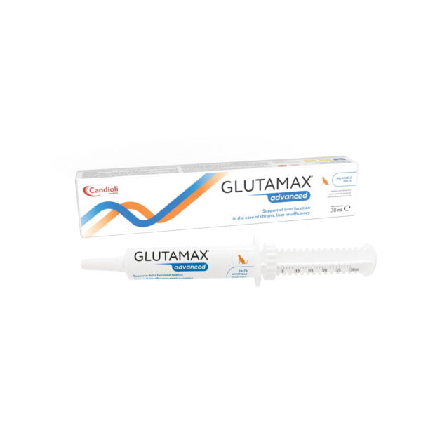 glutamax advanced ma ka1 661e3e220c6f8