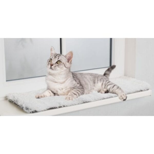 PHO PRO CAT 38041 1 SALL AWK V1