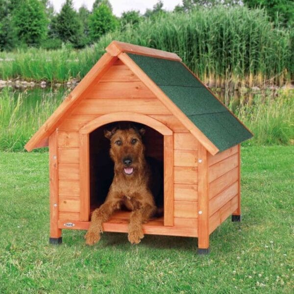 PHO PRO DOG 39531 1 SALL AWK V1