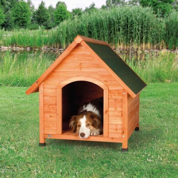 PHO PRO DOG 39532 1 SALL AWK V1