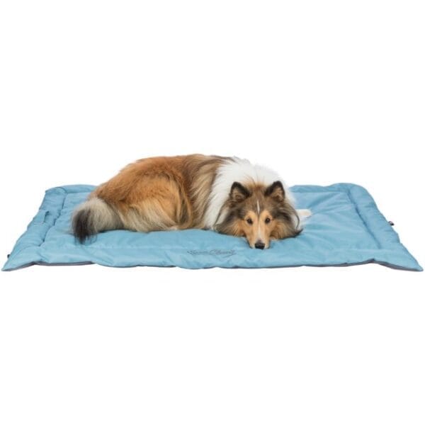 PHO PRO DOG CLIP 28265 28266 1 SALL AWK V1