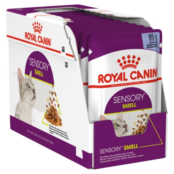 royal cat sensory smell