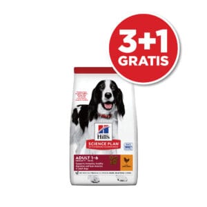 Hill's Science Plan Dog Adult Medium Piletina 14kg 3+1 GRATIS