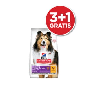 Hill's Science Plan Dog Adult Medium Sensitive Skin&Stomach Piletina 14kg 3+1 GRATIS