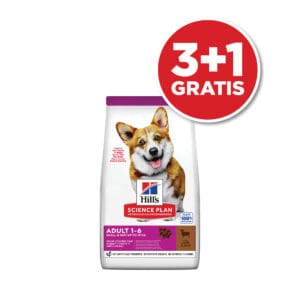 Hill's Science Plan Dog Adult Small&Mini Jagnjetina i Pirinač 6kg 3+1 GRATIS