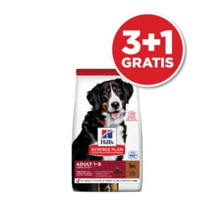 Hill's Science Plan Dog Adult Large Breed Jagnjetina i Pirinač 14kg 3+1 GRATIS