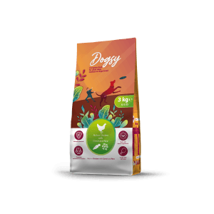 Craftia Dogsy Rich In Chicken With Carrot & Rice Adult Dog Medium & Large Breed