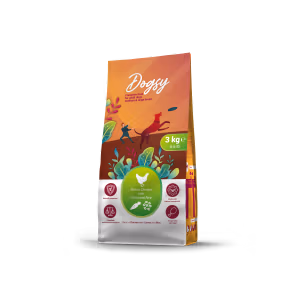 Craftia Dogsy Rich In Chicken With Carrot & Rice Adult Dog Medium & Large Breed