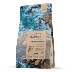 Craftia Rawival Gifts Of Land & Sea Kitten