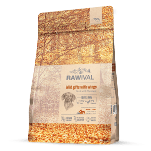 Craftia Rawival Wild Gifts With Wings Adult Dog Medium & Large Breed