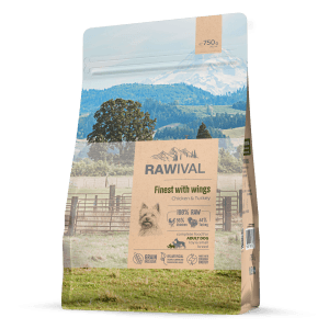 Craftia Rawival Finest With Wings Adult Dog Toy & Small Breed