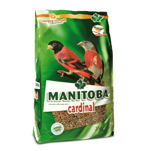 Manitoba Cardinal spinus 15kg