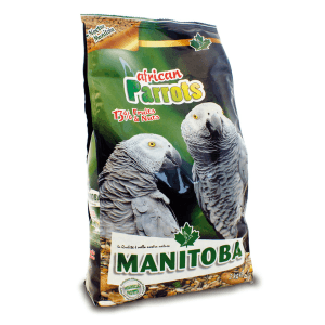 Manitoba African Parrot