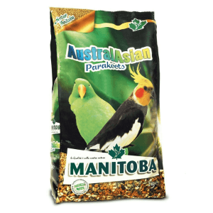 Manitoba Austral Asian Parakeets Nimfe