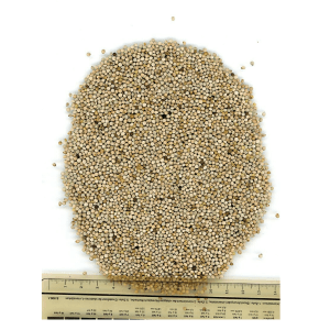 Manitoba Bela perila 1kg