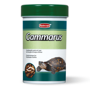 Padovan Gammarus Za Kornjače 12g/100ml