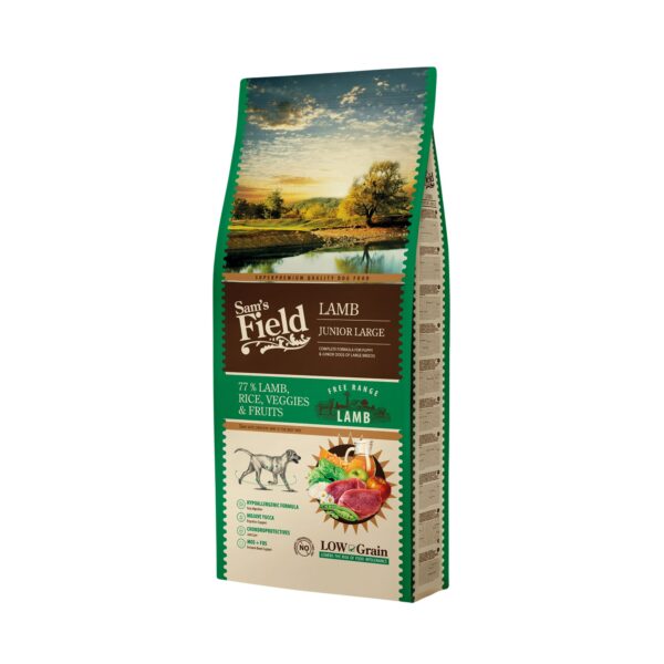 sfd171892-61386ddb58c2f_6915ab35af710 sfd171892 61386ddb58c2f 6915ab35af710