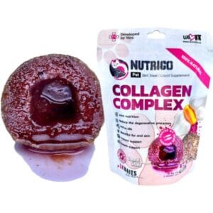 LK Baits Pet Nutrigo Dog Collagen Complex - Mini - 75g