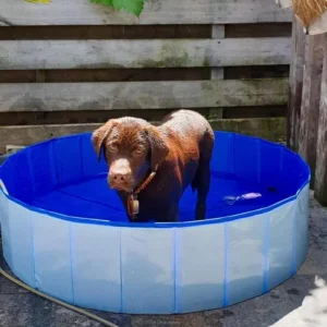 Duvo+ Dog Pool, Bazen Za Pse U Plavoj Boji - Ø120x30cm