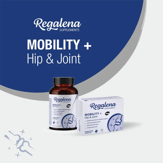 Regalena Mobility + Hip & Joint: Profesionalna podrška za zglobove, hrskavicu i maksimalnu pokretljivost pasa regalena mobility